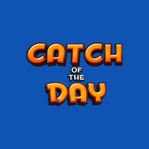 Catch of the Day featured image